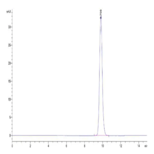Human Fibronectin (1266-1356) Protein (FIN-HM103)