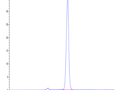 Human Fibronectin (1266-1356) Protein (FIN-HM203)