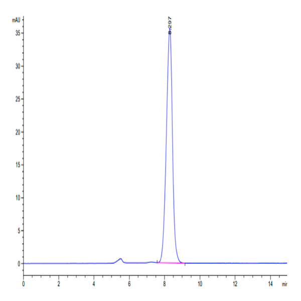 Human Fibronectin (1266-1356) Protein (FIN-HM203) Human Fibronectin (1266-1356) Protein (FIN-HM203)