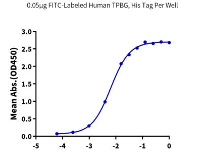 FITC-Labeled Human TPBG/5T4 Protein, 5T4-HM401F Ushelf