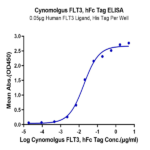 Cynomolgus FLT3/Flk-2 Protein (FLT-CM230)