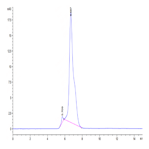 Cynomolgus FLT3/Flk-2 Protein (FLT-CM230)