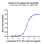 Human FLT3 Ligand Protein (FLT-HE03L)