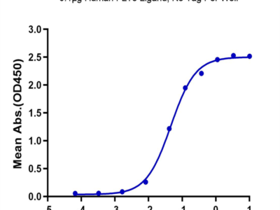 Human FLT3 Ligand Protein (FLT-HE03L)