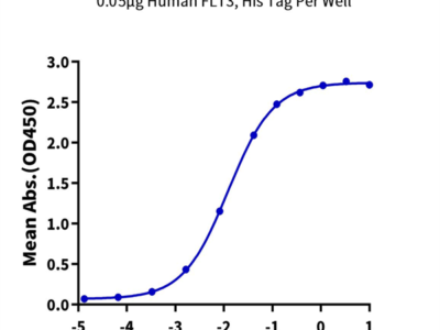 Human FLT3/Flk-2 Protein (FLT-HM130)