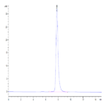 Human FLT3/Flk-2 Protein (FLT-HM130)