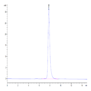 Human FLT3/Flk-2 Protein (FLT-HM130)