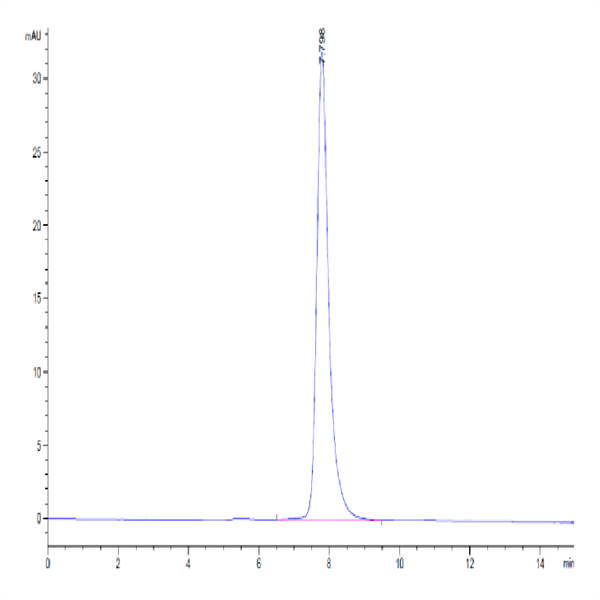 Human FLT3/Flk-2 Protein (FLT-HM130)