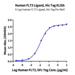 Human FLT3 Ligand Protein (FLT-HM13L)