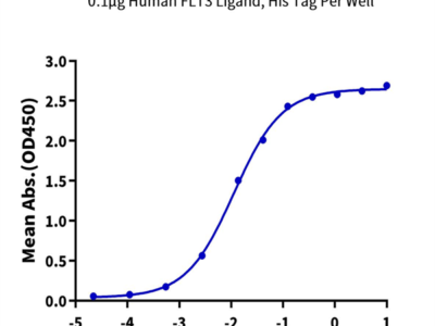 Human FLT3 Ligand Protein (FLT-HM13L)