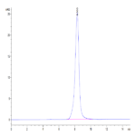 Human FLT3 Ligand Protein (FLT-HM13L)