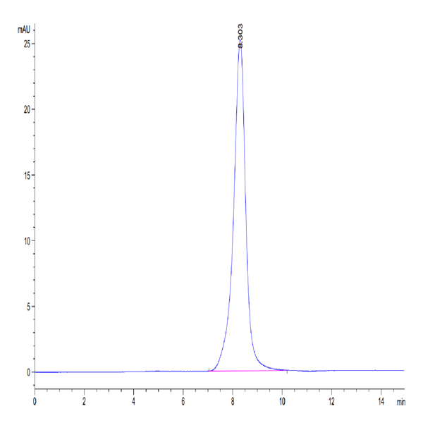 Human FLT3 Ligand Protein (FLT-HM13L)