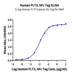 Human FLT3/Flk-2 Protein (FLT-HM230)