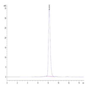 Biotinylated Human FLT3/Flk-2 Protein (FLT-HM430B)