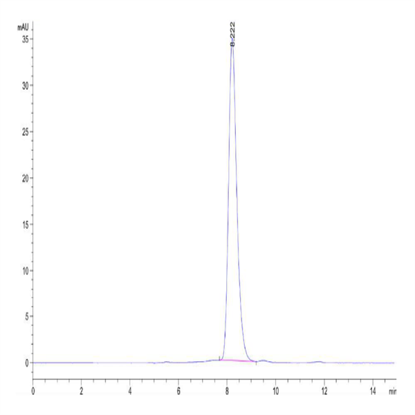 Biotinylated Human FLT3/Flk-2 Protein (FLT-HM430B)