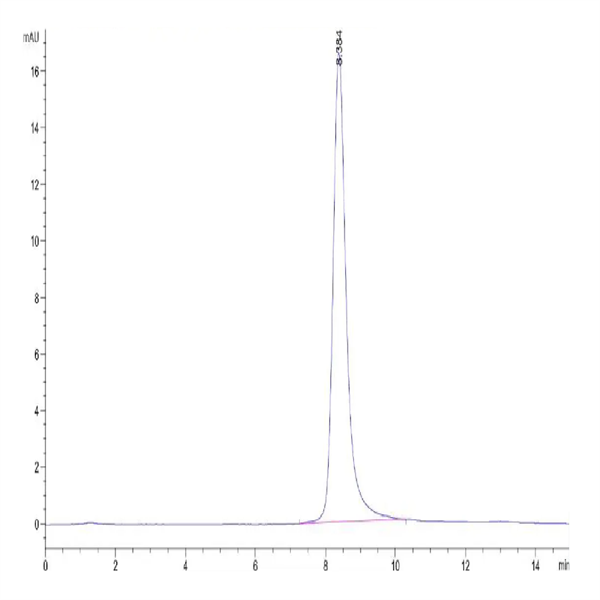 Mouse FLT3 Ligand Protein (FLT-MM13L)