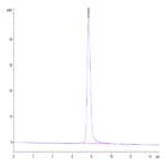 Mouse FLT3 Ligand Protein (FLT-MM23L)