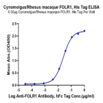 Cynomolgus/Rhesus macaque FOLR1 Protein (FOL-CM1R1)