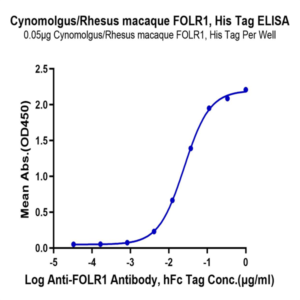 Cynomolgus/Rhesus macaque FOLR1 Protein (FOL-CM1R1)
