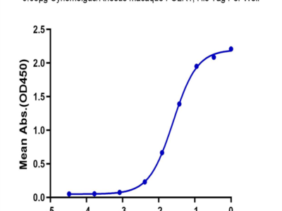 Cynomolgus/Rhesus macaque FOLR1 Protein (FOL-CM1R1)