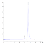 Cynomolgus/Rhesus macaque FOLR1 Protein (FOL-CM1R1)