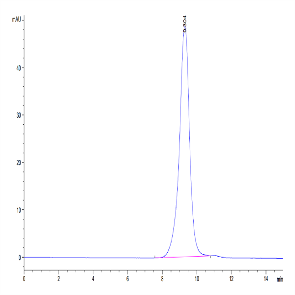 Cynomolgus FOLR2 Protein (FOL-CM1R2)
