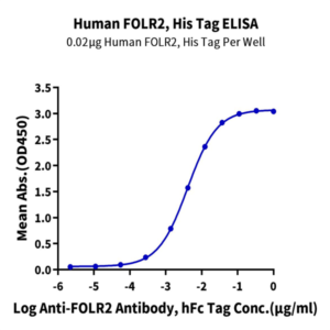 Human FOLR2 Protein (FOL-HM1R2)