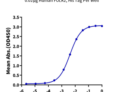 Human FOLR2 Protein (FOL-HM1R2)