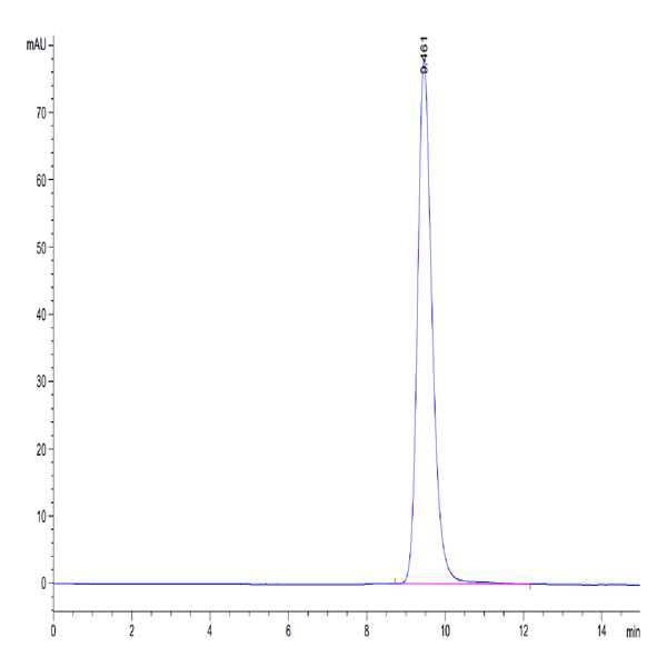 Human FOLR2 Protein (FOL-HM1R2)