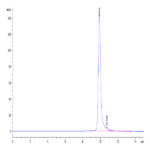 Human FOLR4/Juno Protein (FOL-HM1R4)