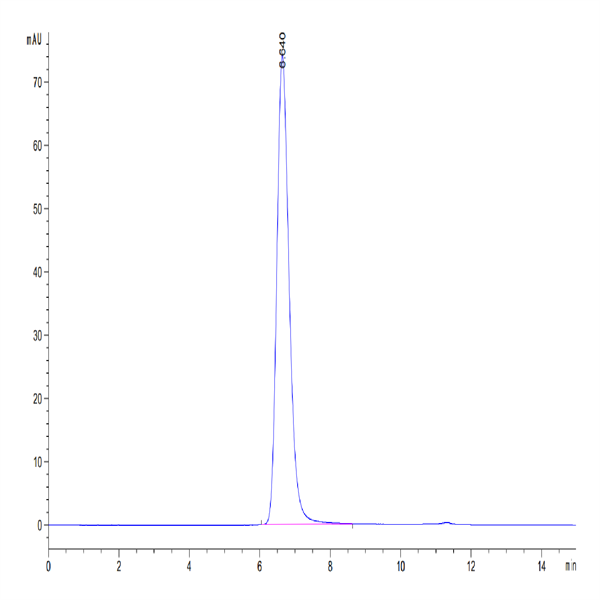 Human FOLR1 Protein (FOL-HM2R2)