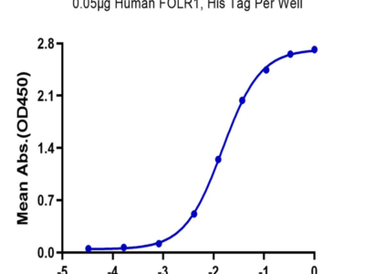 Human FOLR1 Protein (FOL-HM4R1)