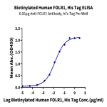 Biotinylated Human FOLR1 Protein (FOL-HM4R1B)