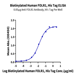 Biotinylated Human FOLR1 Protein (FOL-HM4R1B)