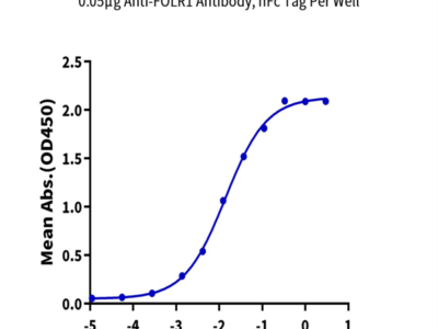Biotinylated Human FOLR1 Protein (FOL-HM4R1B)