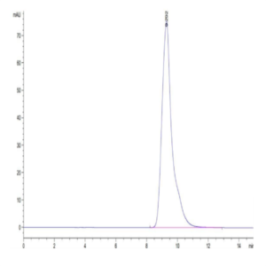 Mouse FOLR1 Protein (FOL-MM1R1)