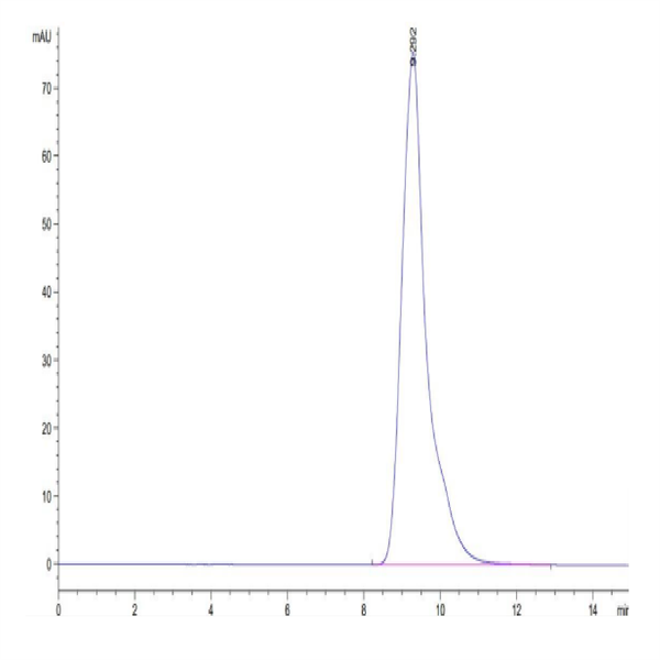 Mouse FOLR1 Protein (FOL-MM1R1) Mouse FOLR1 Protein (FOL-MM1R1)