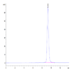 Mouse FOLR4/Juno Protein (FOL-MM1R4)