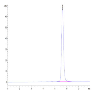 Mouse FOLR4/Juno Protein (FOL-MM1R4)
