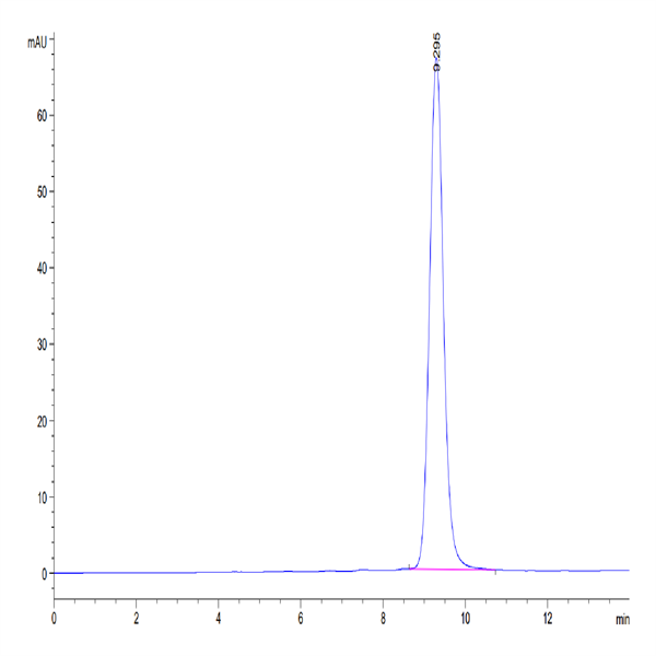 Mouse FOLR4/Juno Protein (FOL-MM1R4) Mouse FOLR4/Juno Protein (FOL-MM1R4)
