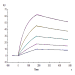 Biotinylated Human Fc gamma RI/CD64 Protein (FRI-HM464B)