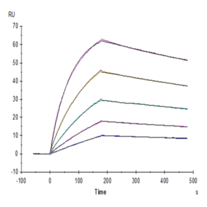 Biotinylated Human Fc gamma RI/CD64 Protein (FRI-HM464B)
