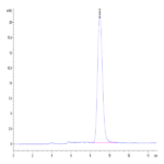 Mouse Fc gamma RI/CD64 Protein (FRI-MM164)