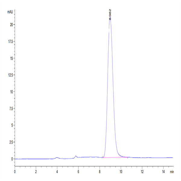 Mouse Fc gamma RI/CD64 Protein (FRI-MM164)