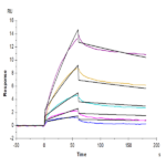 Cynomolgus/Rhesus macaque FcRn Protein (FRN-CM101)