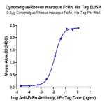 Cynomolgus/Rhesus macaque FcRn Protein (FRN-CM101)