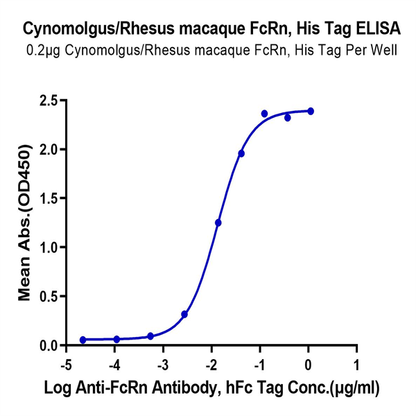 Cynomolgus/Rhesus macaque FcRn Protein (FRN-CM101)