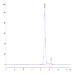 Cynomolgus/Rhesus macaque FcRn Protein (FRN-CM101)
