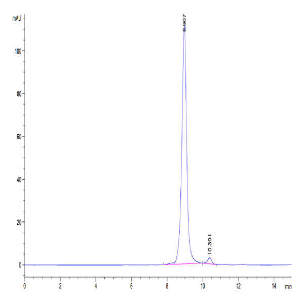 Cynomolgus/Rhesus macaque FcRn Protein (FRN-CM101)