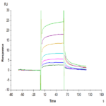 Biotinylated Cynomolgus FcRn Protein (FRN-CM401B)